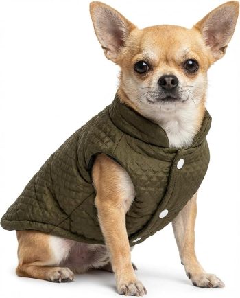 Soft Warm Small Dog Coats Lightweight Pet Dog Winter Jackets for Small Medium Dogs Puppy Cold Weather Coat Pet Clothes, Green, Small