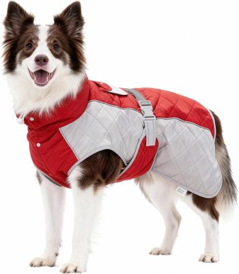 Dog Coat Dogs Jacket Waterproof Reflective Adjustable Dog-Winter Coats for Small/Medium/Large Dogs Dachshund Coat-(Red, Medium)